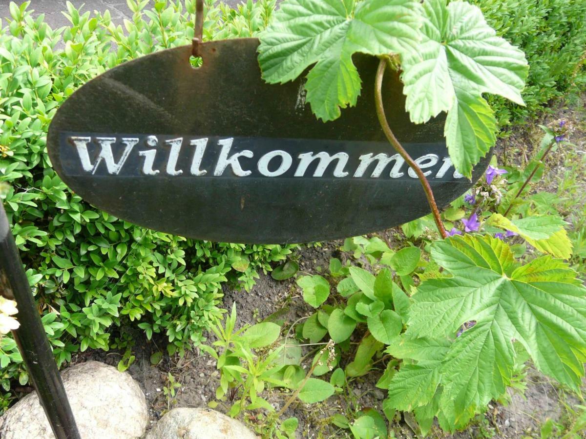 Pension Zur Kirchsee Insel Poel Eksteriør bilde